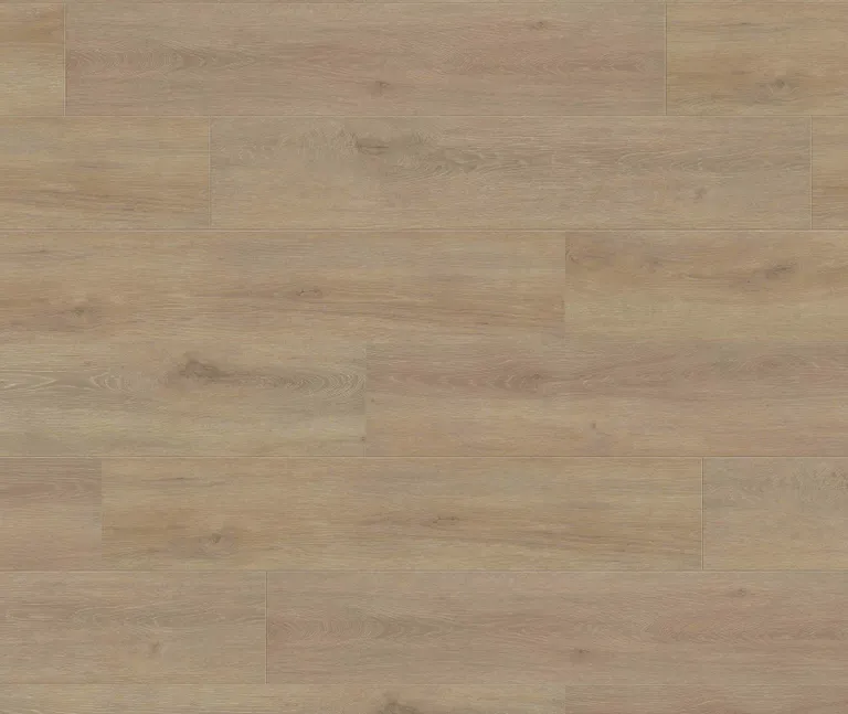 HARO Laminat Tritty 100 Campus Eiche Veneto crema Landhausdiele 0