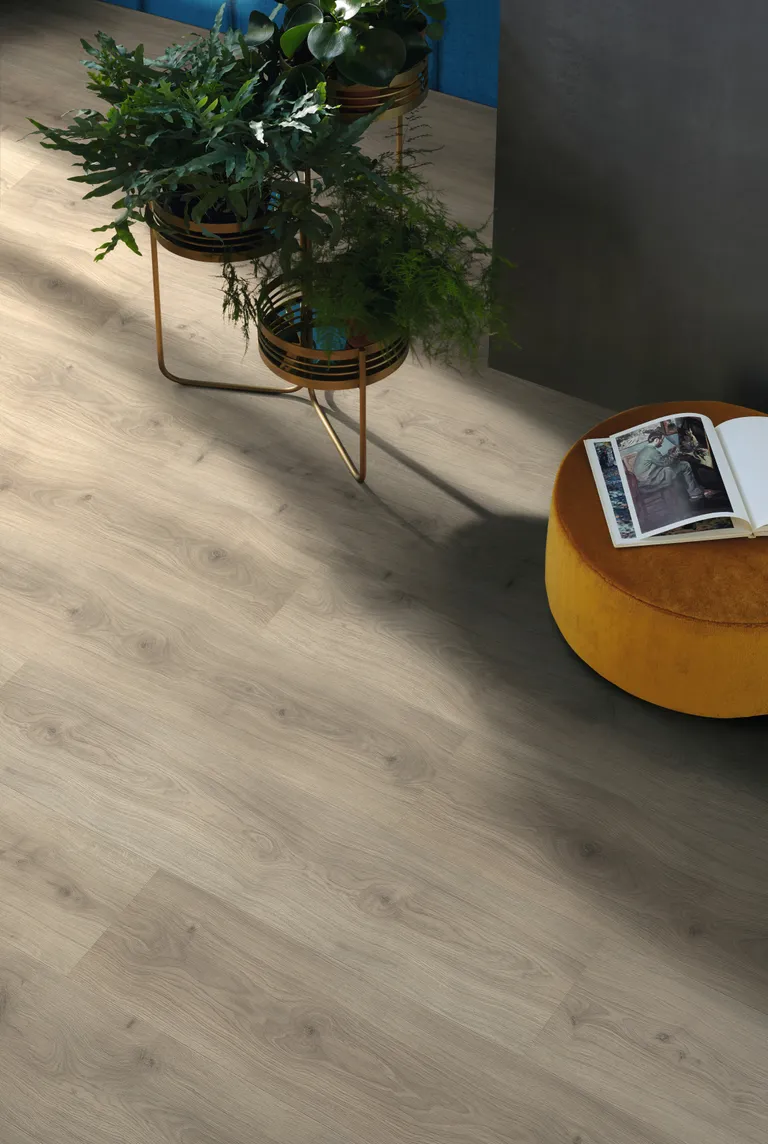 HARO Laminat Tritty 200 Aqua Gran Via Eiche Emilia samtgrau Landhausdiele 2