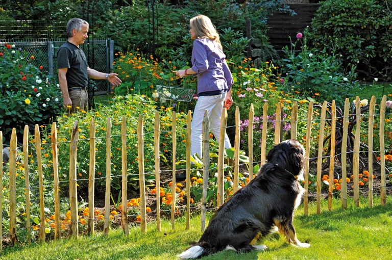 TETZNER & JENTZSCH Vorgartenzaun Haselnuss Lattenzaun Lattenabstand 8-10 cm 3